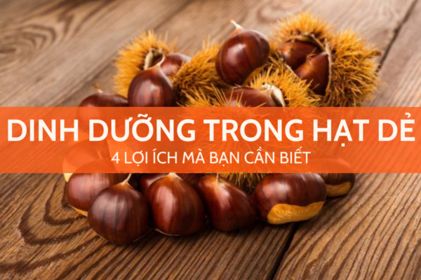 dinh dưỡng trong hạt dẻ